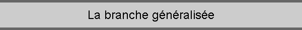 La branche gnralise